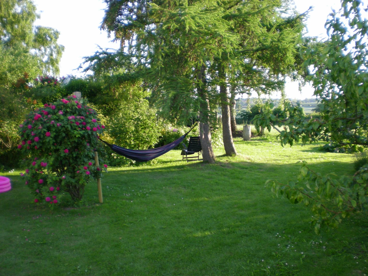 Hängematte im Garten